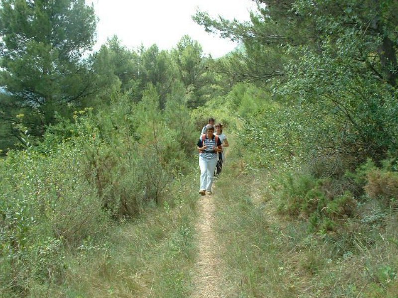 arandoagut03.jpg