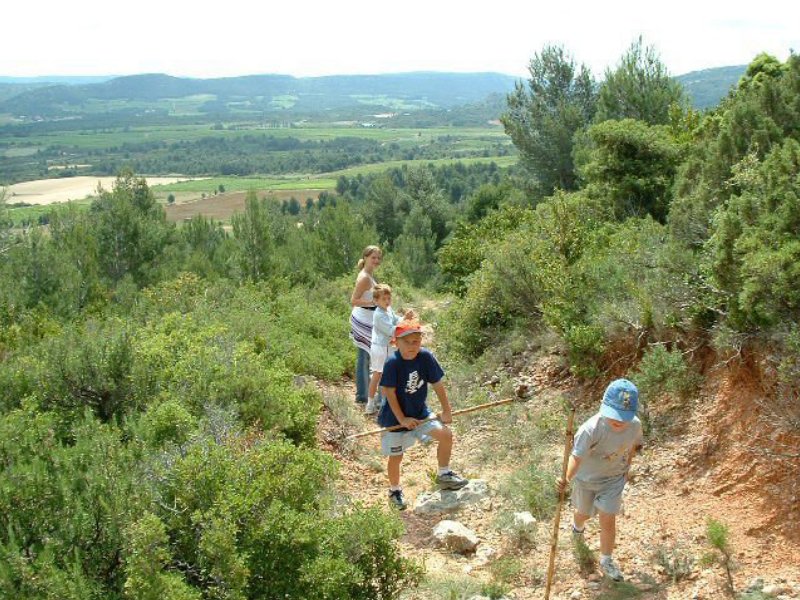 arandoagut07.jpg