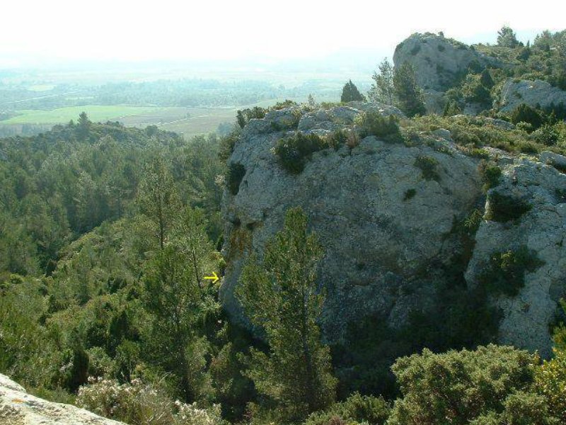 arandoagut08.jpg