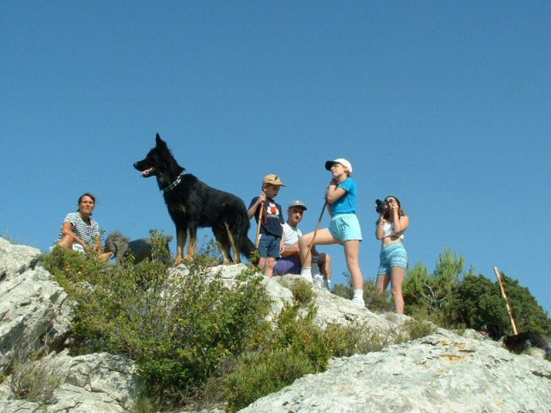 arandoagut10.jpg