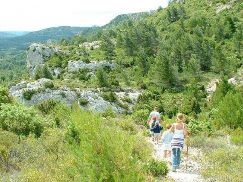 arandoagut11.jpg