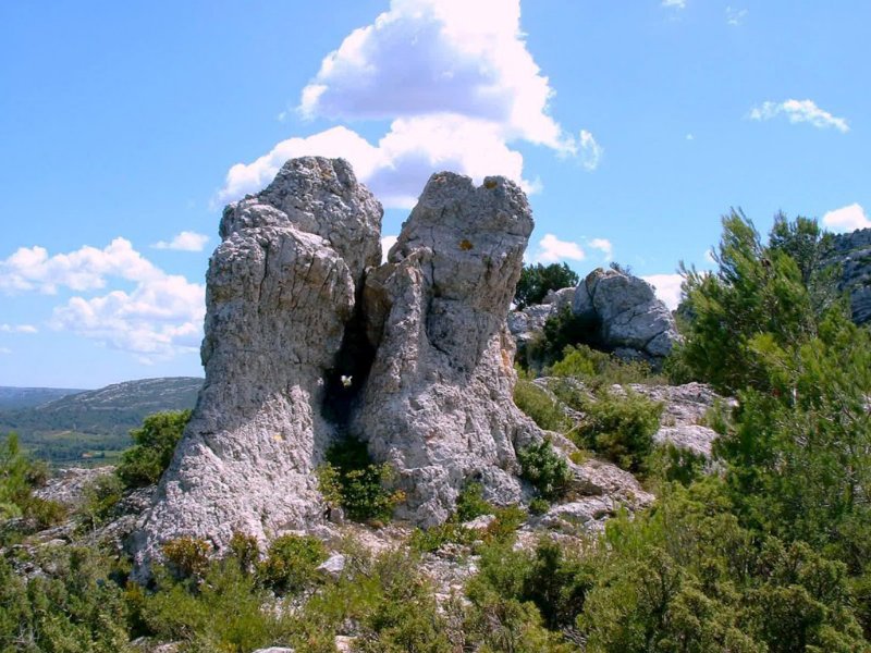 arandoagut12.jpg