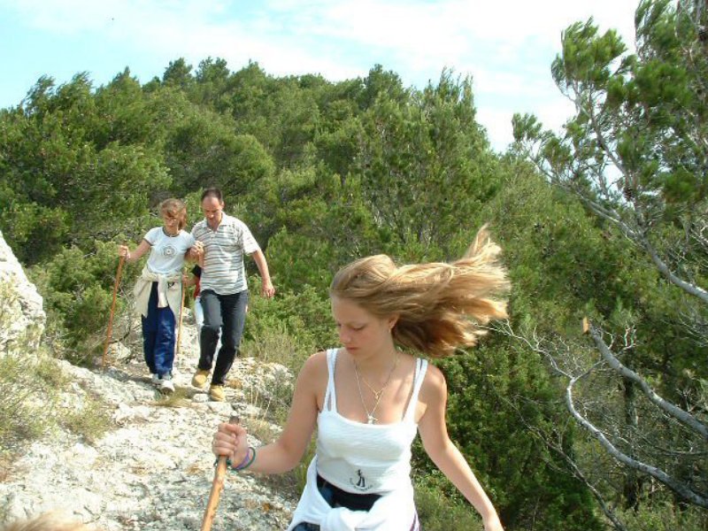 arandoagut15.jpg