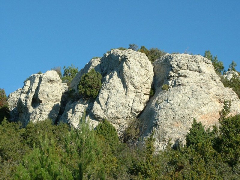 arandoagut16.jpg