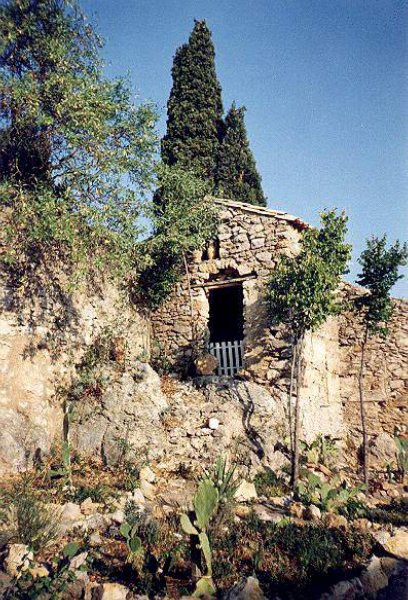 arandoagut17.jpg