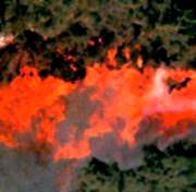 Incendie de Borneo