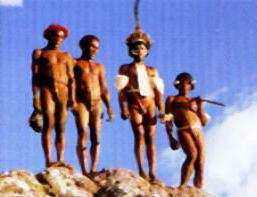Bande de Papoux 