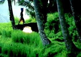 contre jour  Bali