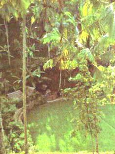 hameau prs d' Ubud
