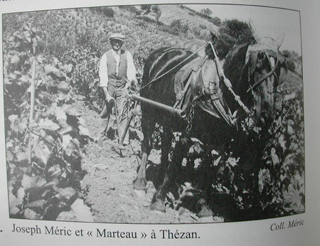 b04.jpg