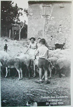 b32.jpg