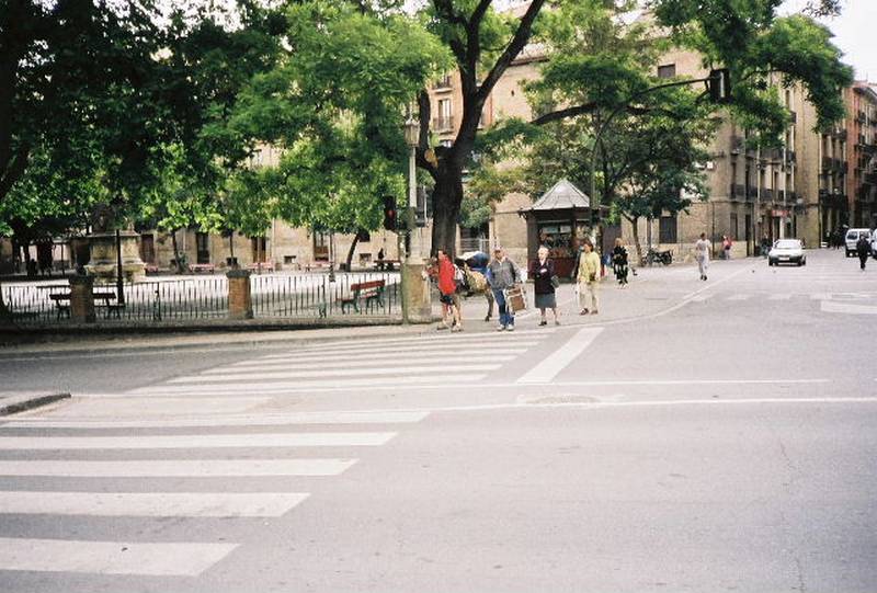 ronce018.jpg