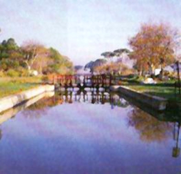 Le canal du Midi