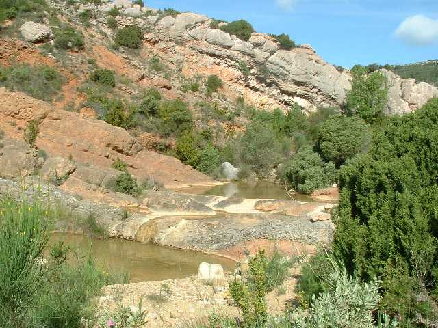 nalbas20.jpg