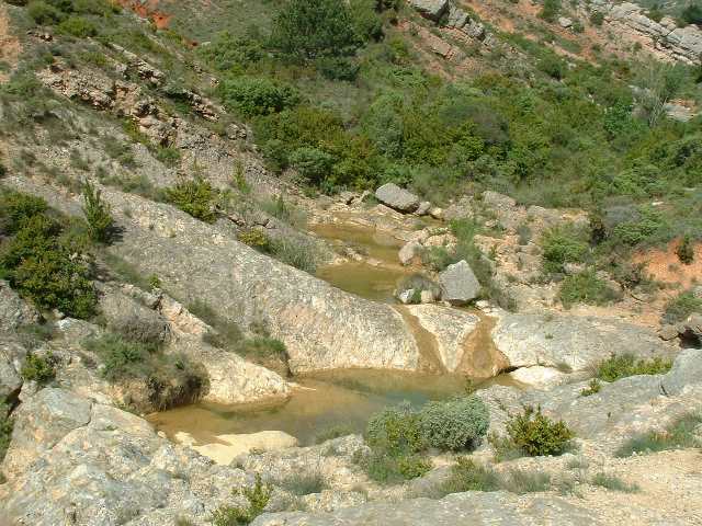 nalbas26.jpg