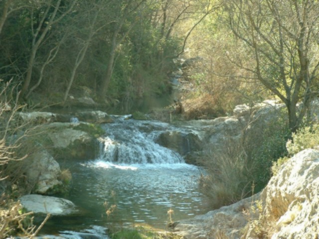 Nat019.jpg