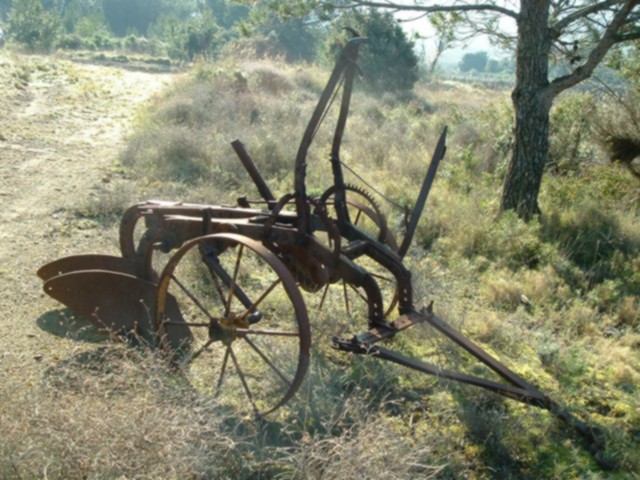 NAT20030317AB.jpg