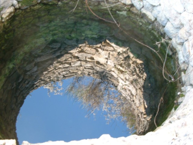 NAT2003319AA.jpg