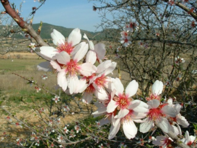 NAT2003_0314AA.JPG