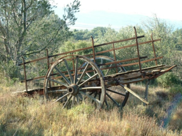 NAT2003_0317AA.JPG