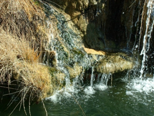 NAT2003_0317AC.JPG