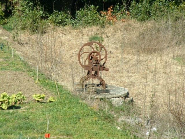 NAT2003_0317AD.JPG